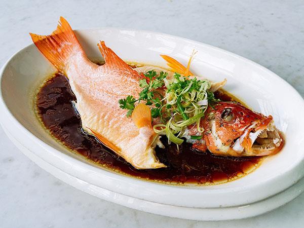 Fish 鱼