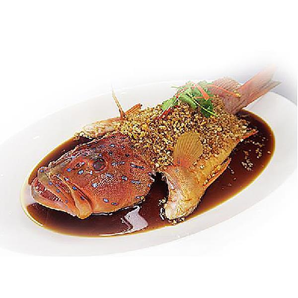 鱼 - FISH