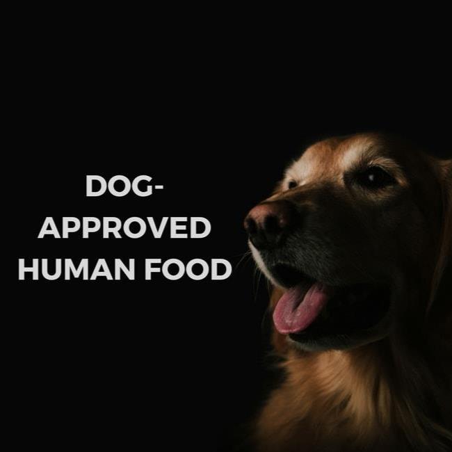 AWESOME PAWSOME - 20% OFF