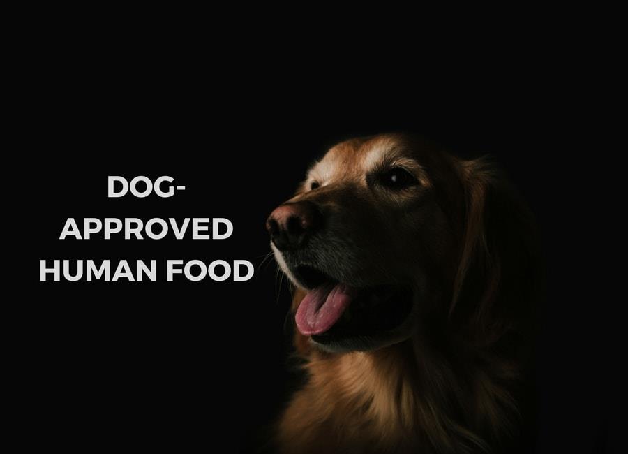 Awesome Pawsome