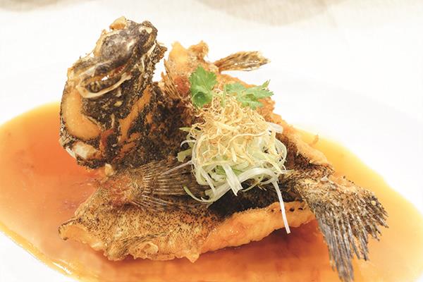 Fish 鲜鱼
