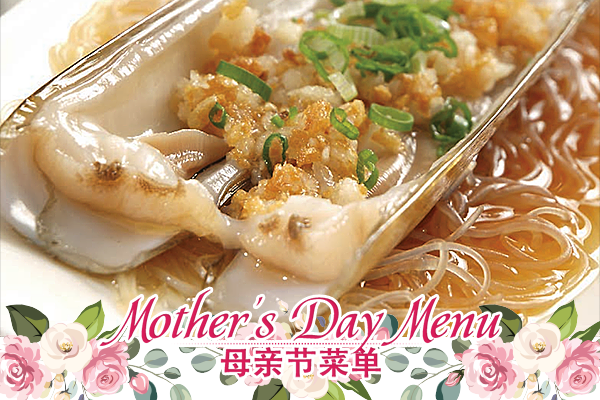 MOTHER'S DAY - 贝类 SHELLFISH