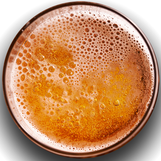 Beer And Sake 啤酒和清酒