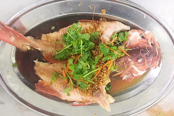 鱼类 FISH