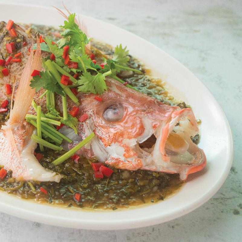 FISH 鱼
