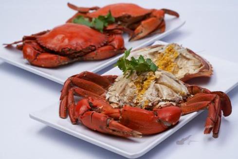 Live Seafood