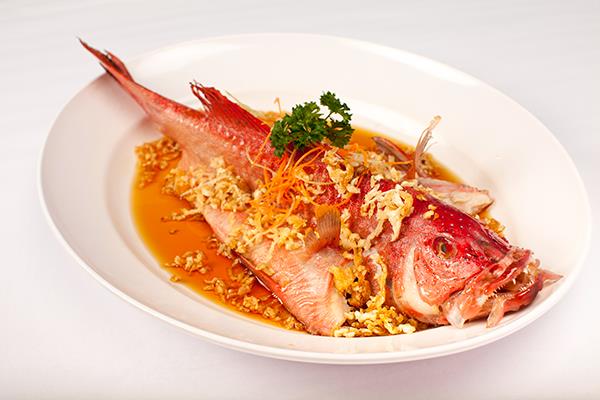 鱼/FISH