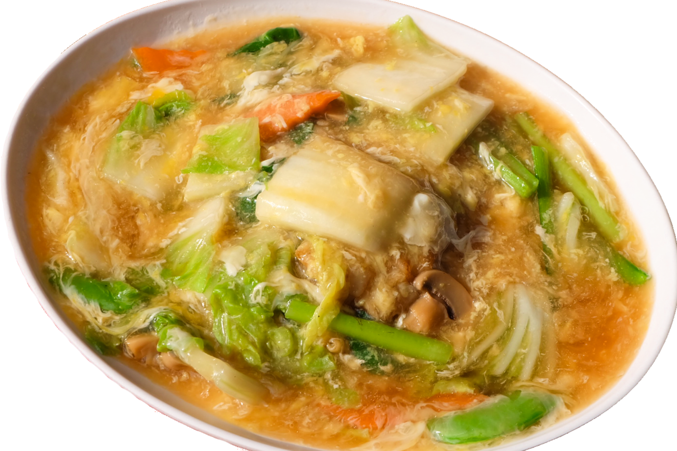 VEGETARIAN 斋