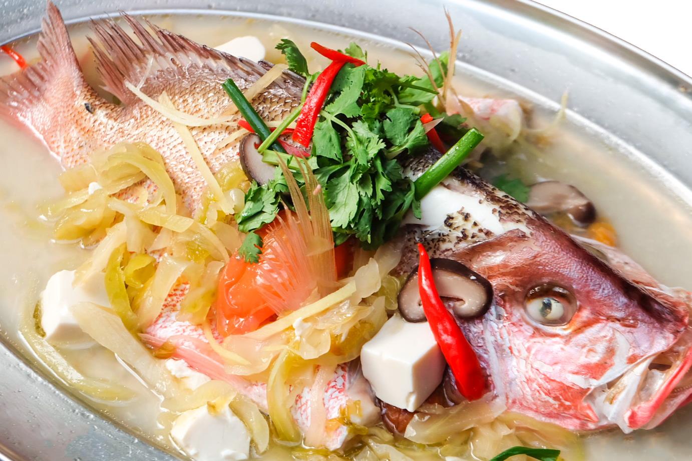 FISH 鱼