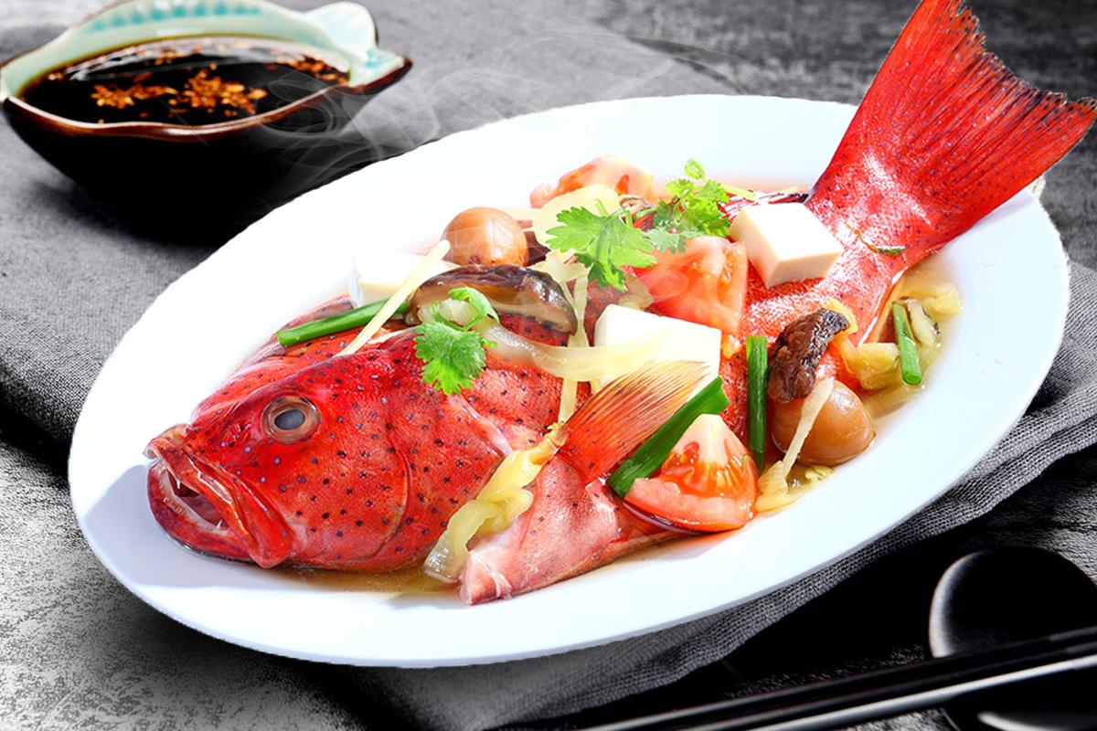 Fish 鱼