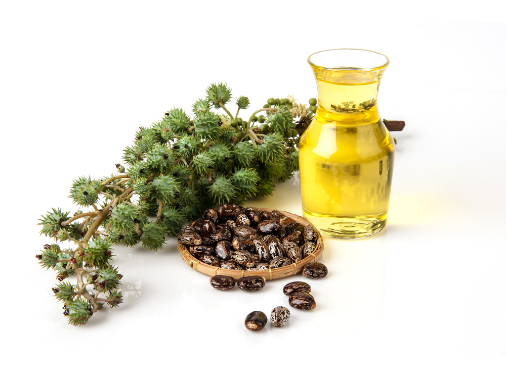 5 Manfaat Castor Oil Untuk Kesehatan Kulit Dan Rambut - 