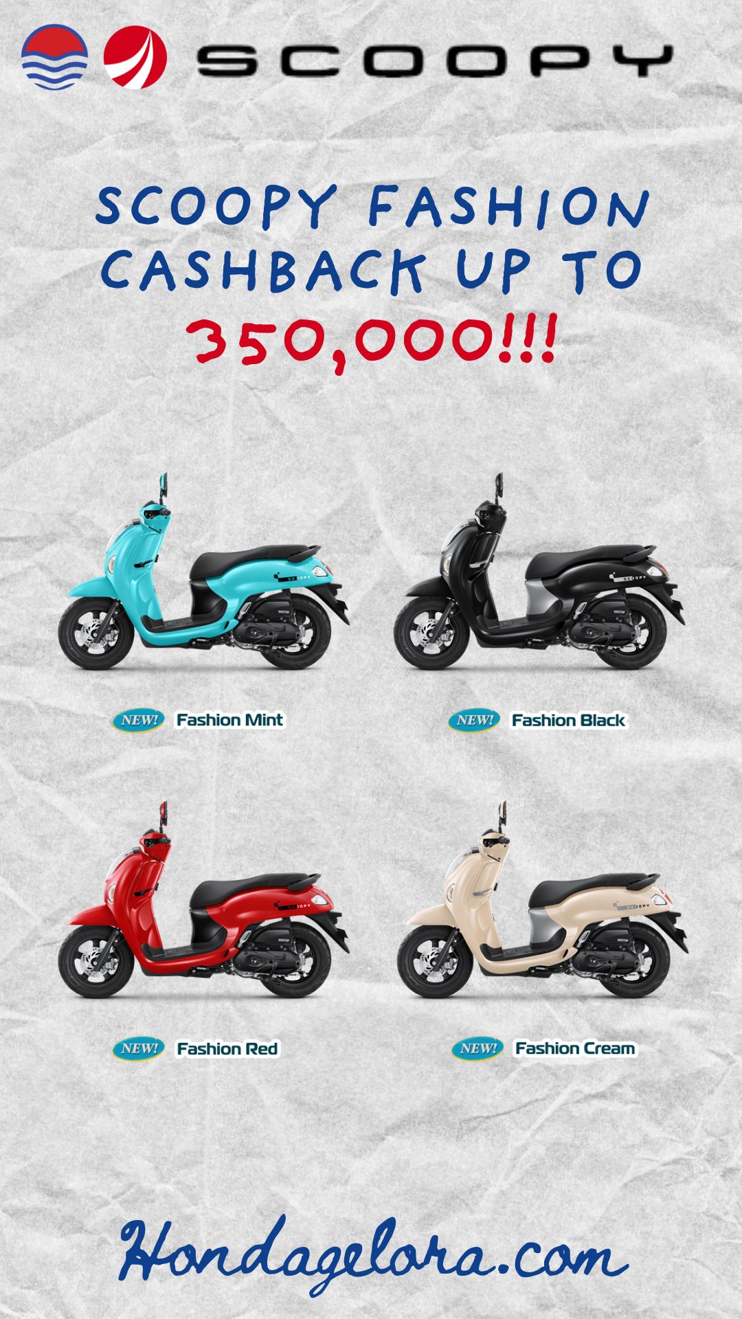 July Special Offer: Scoopy Fashion