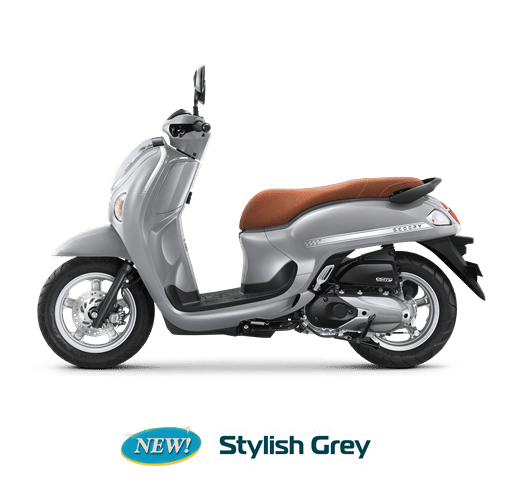 SCOOPY STYLISH