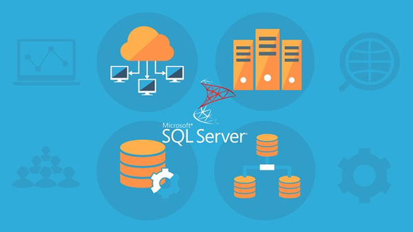 My SQL Service