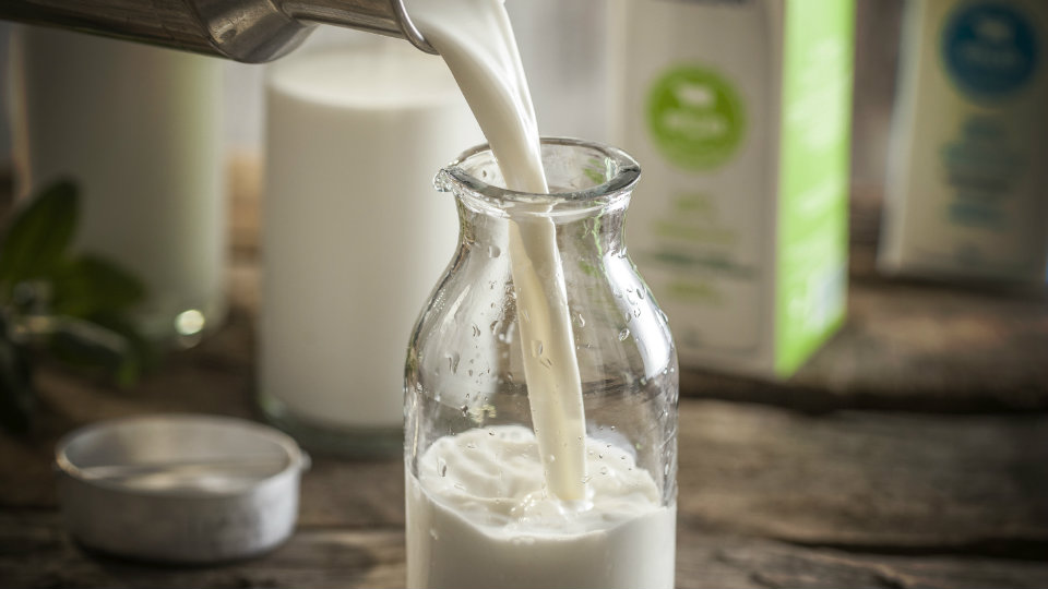 kenali perbedaan susu segar, pasteurisasi, dan UHT