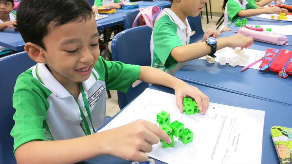 apa itu singaporean primary school curriculum
