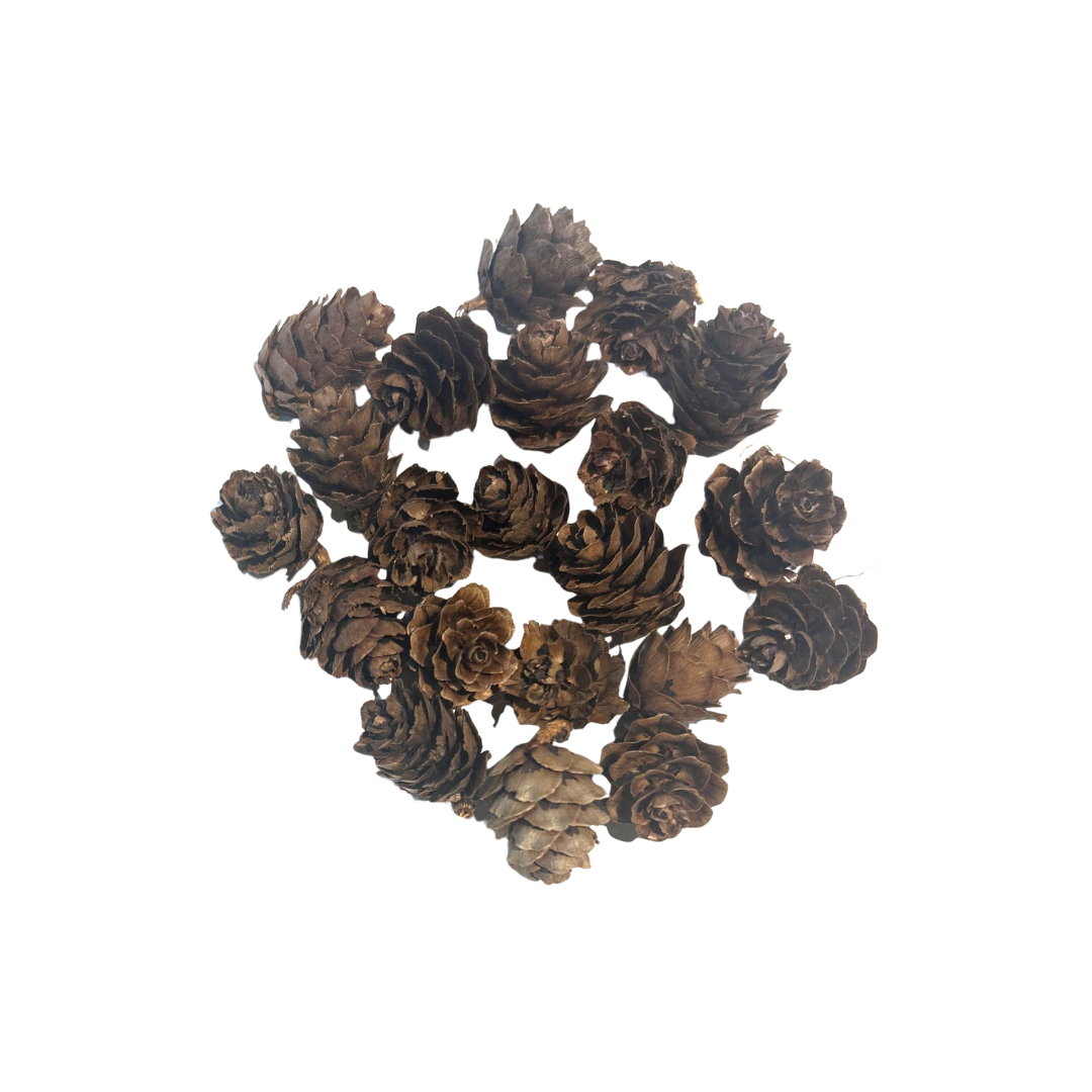 PINE CONE SMALL 1X20