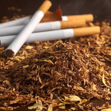 Tobacco