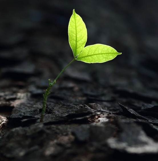 Herbert Benard testimonial photo #3