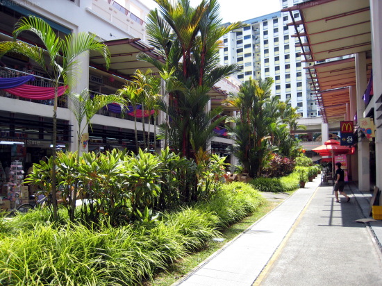 Explore 8576+ hdb flats for sale in singapore. Rivervale Mall Photos : 118 Rivervale Drive (S)540118 HDB Details Location Map ...
