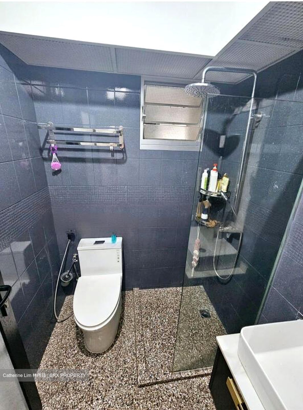 Fernvale Ridge (Sengkang), HDB 3 Rooms - For Rent #103981161