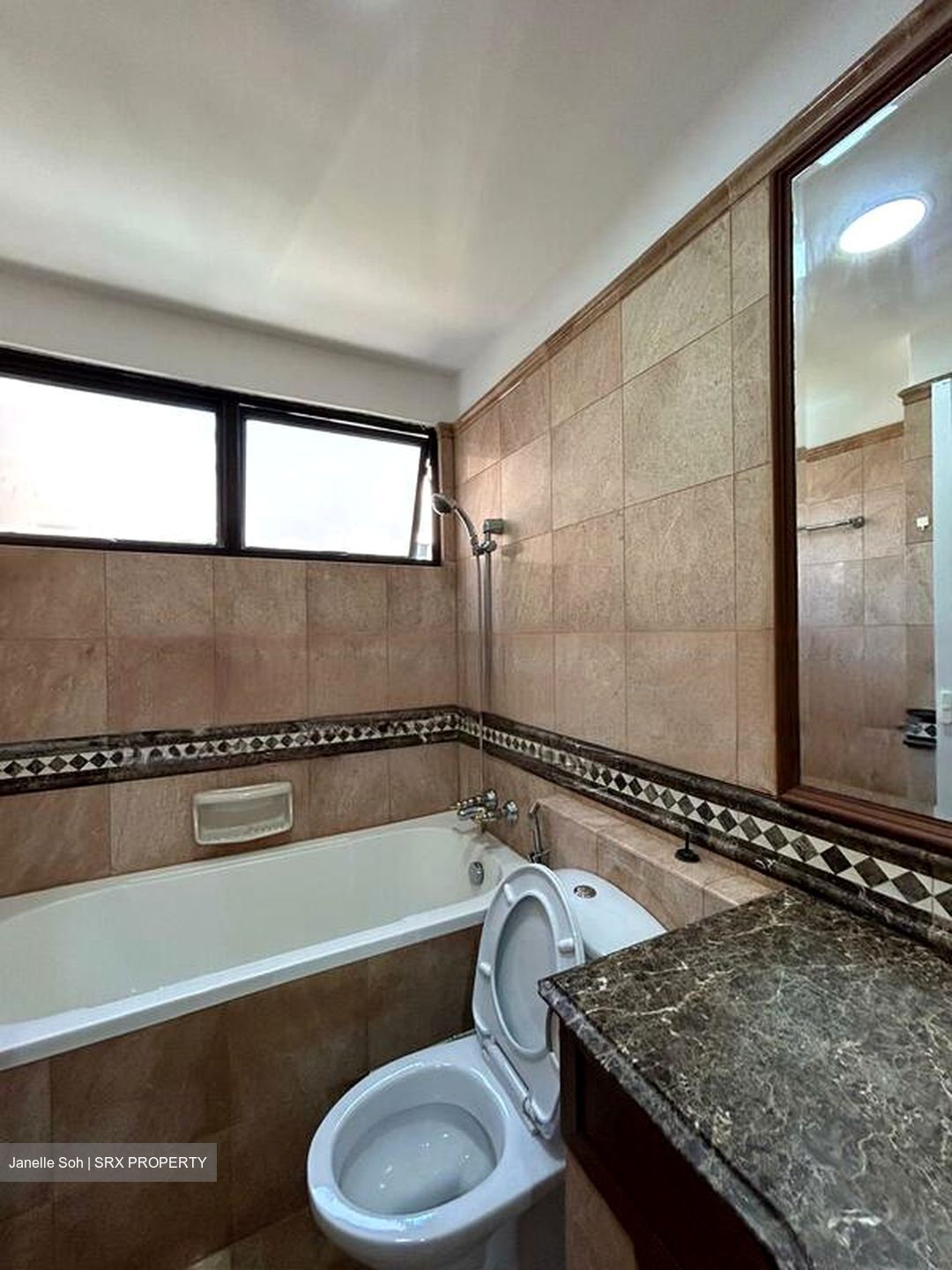 Dover Parkview (D5), Condominium - For Rent #105159071