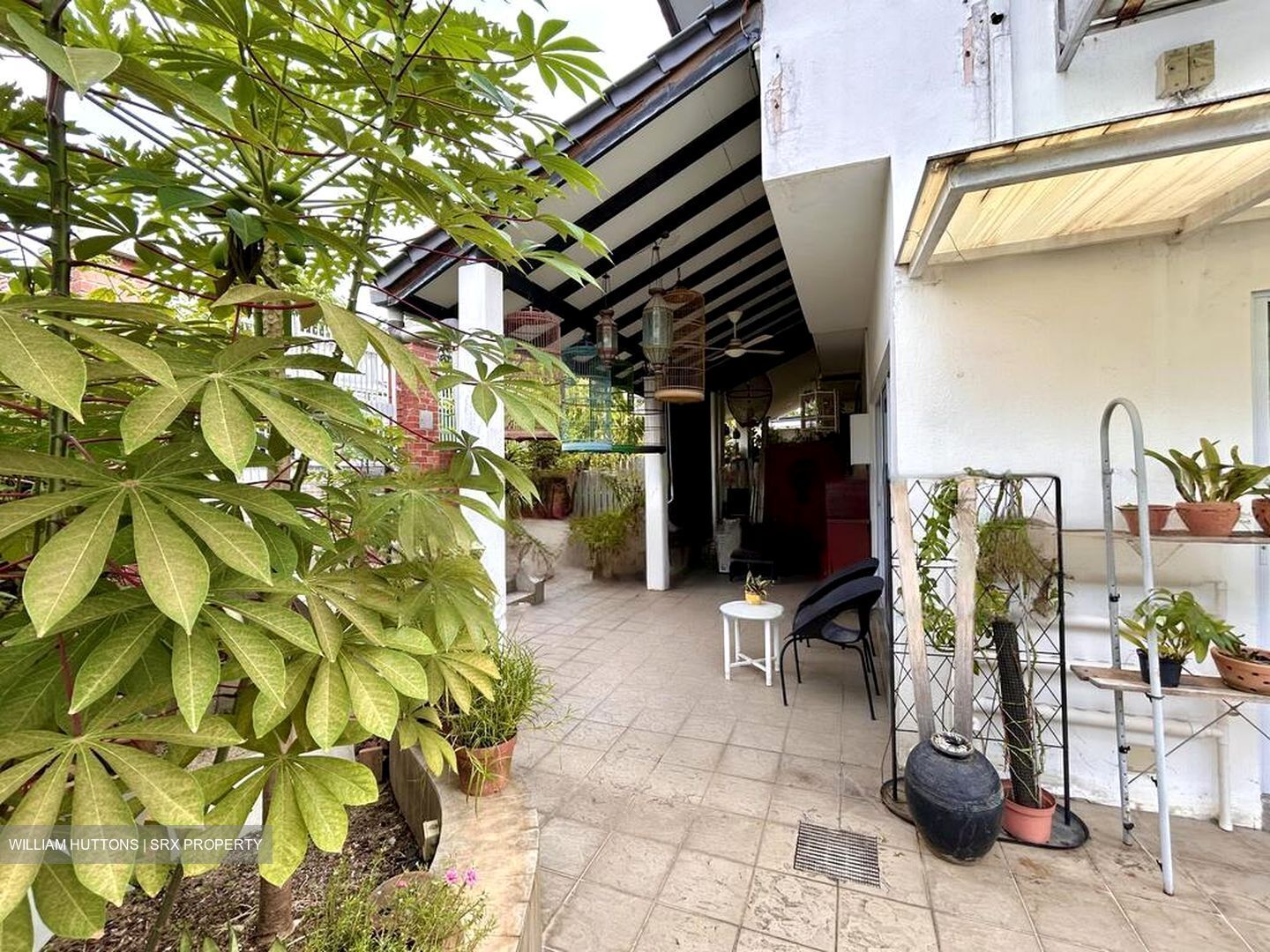 Chai Chee Road (D16), Terrace - For Sale #105615441
