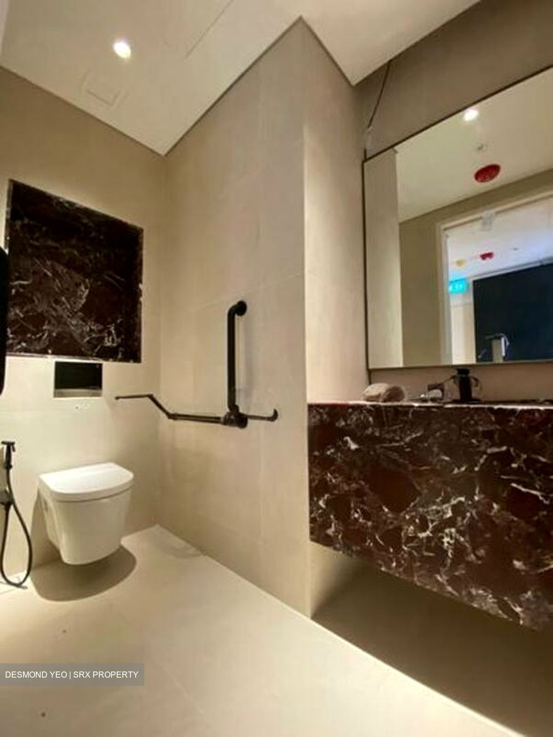 Zenobia Hotel (D8), Shop House - For Rent #108870221
