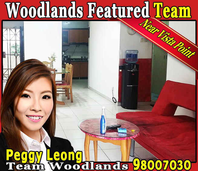 523 Woodlands Drive 14