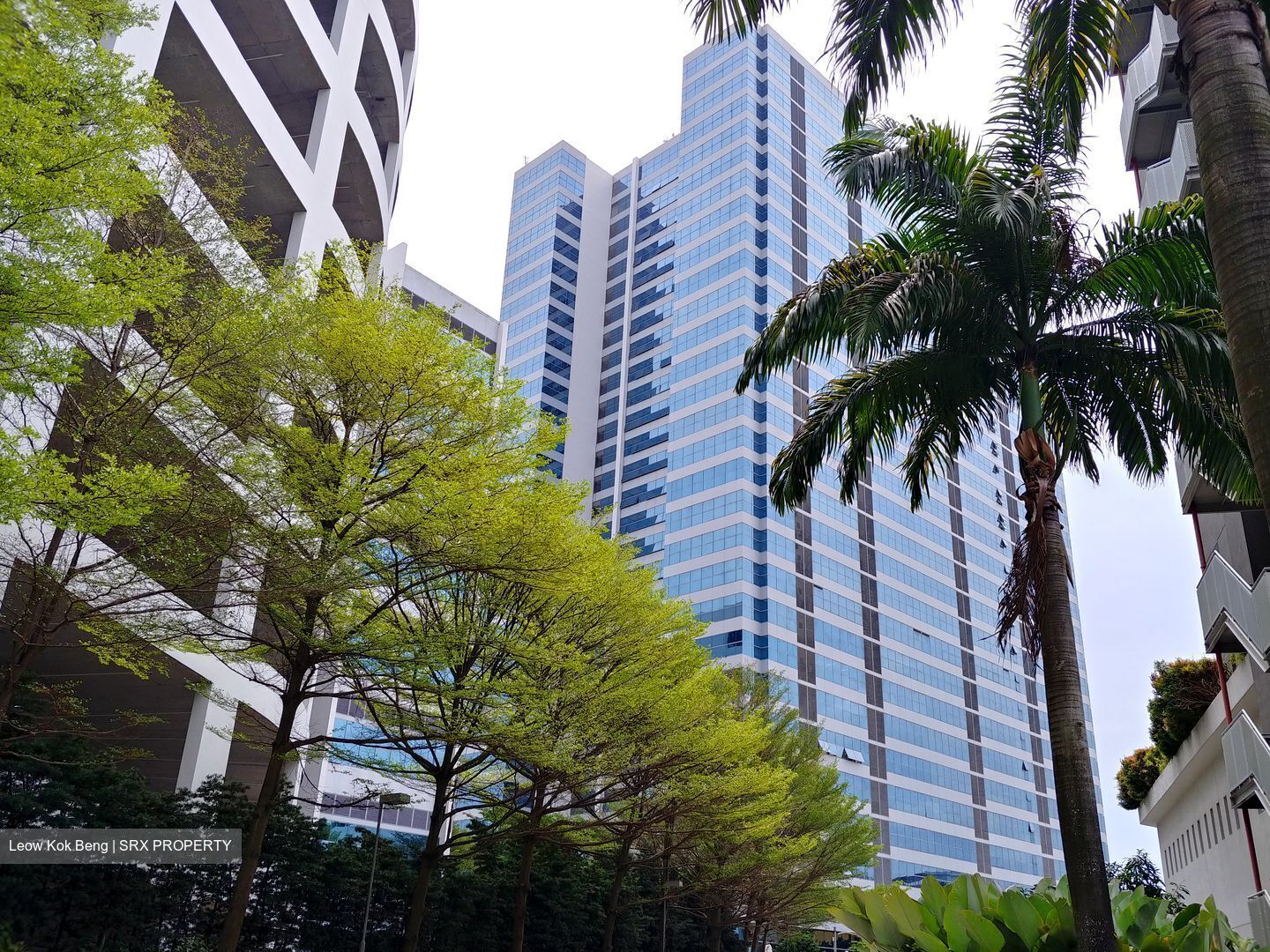 368721921_mobile.jpg?20220805221342