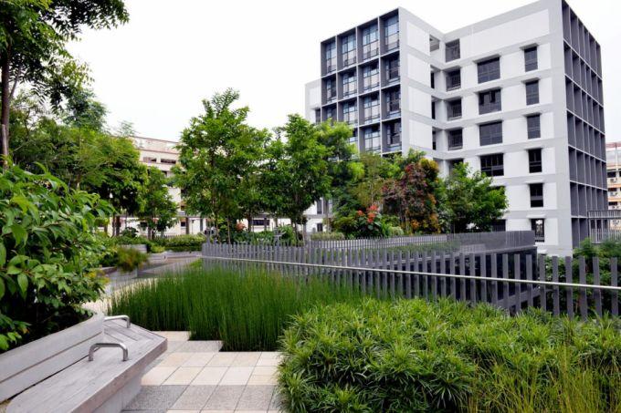 Landscape replacement policy for buildings to include vertical greens