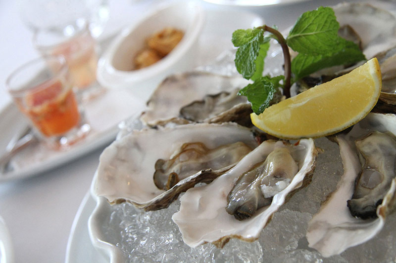 Fresh Oysters
