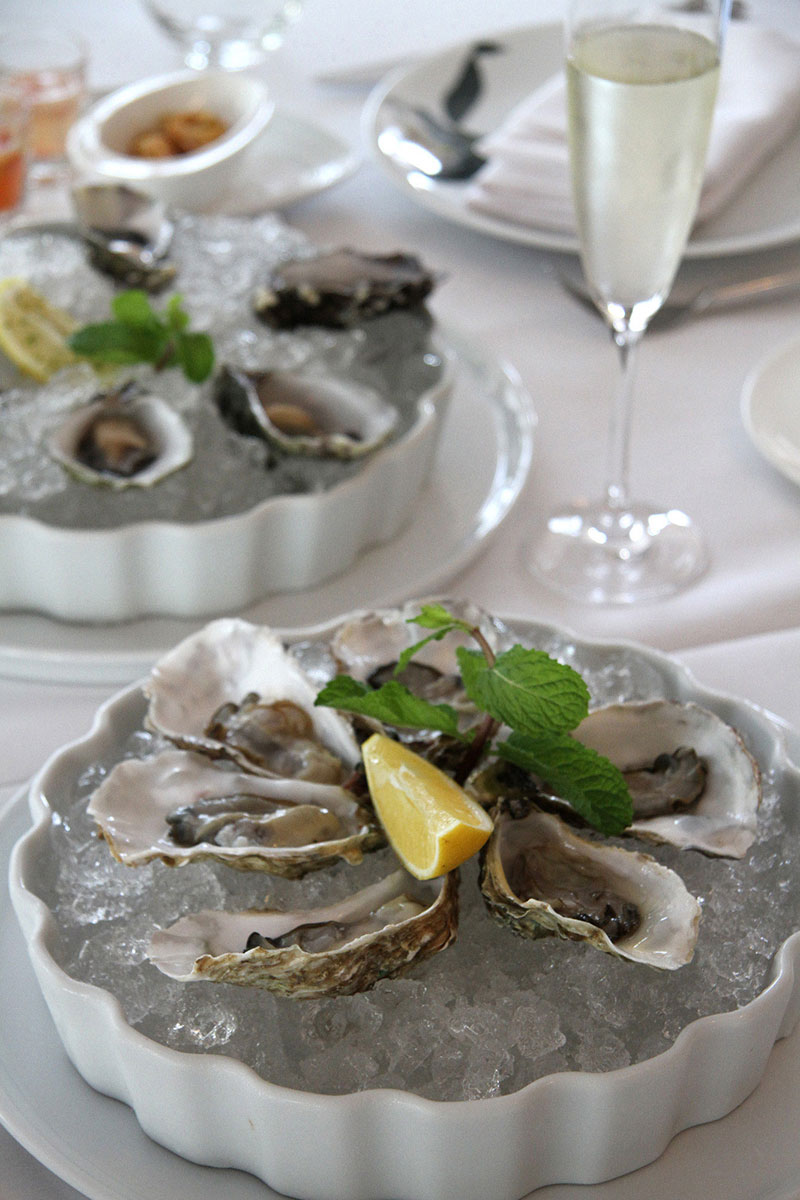 Oysters