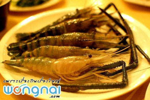 กุ้งโตไม่ทัน