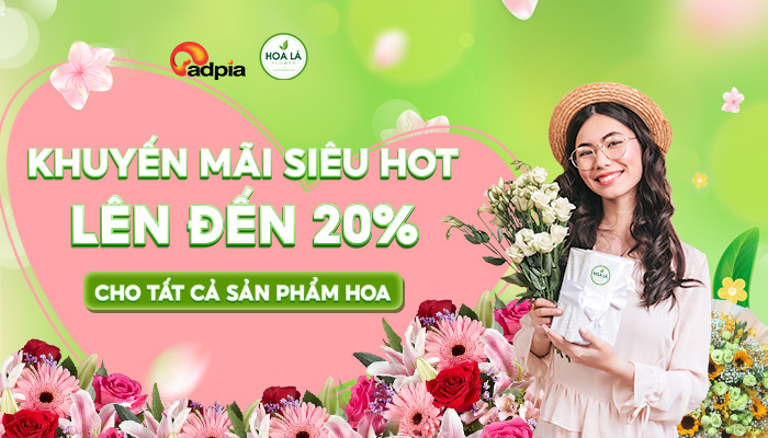 [HOALASAIGON] KHUYẾN MÃI SIÊU HOT LÊN ĐẾN 20% TẤT CẢ SẢN PHẨM