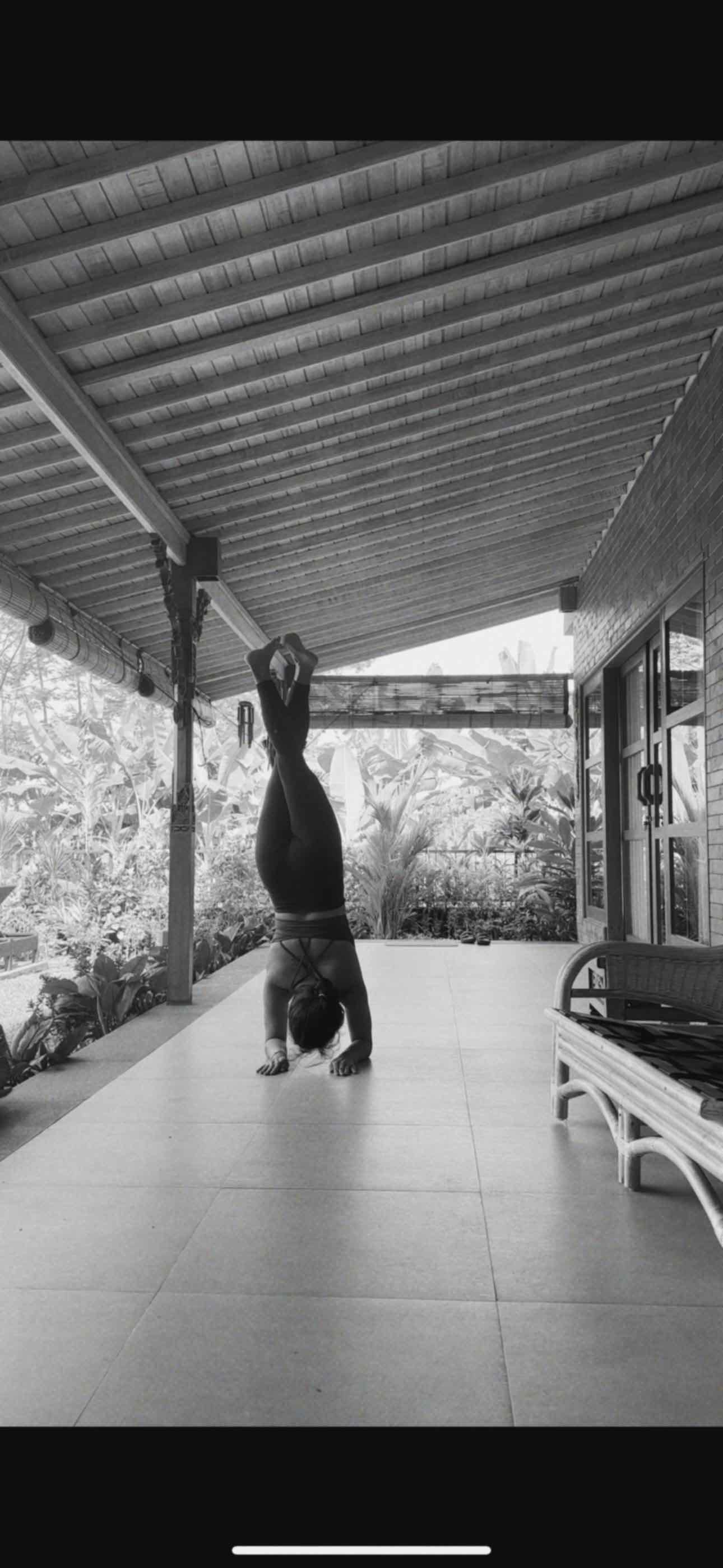 pincha mayurasana mini workshop - online