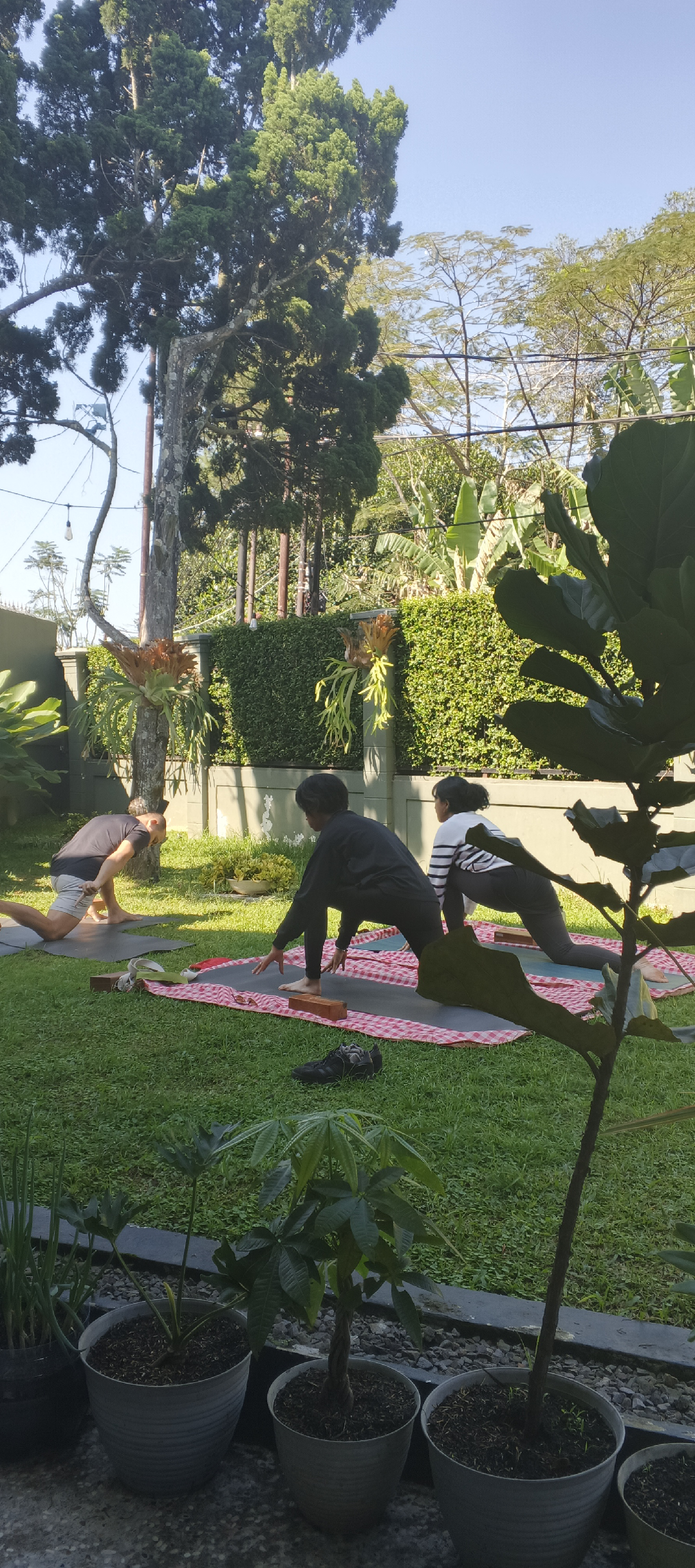 Morning Balance