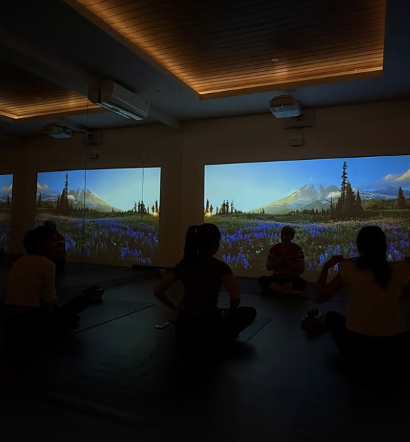 Gentle Vinyasa 