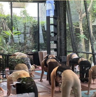 Beginner Flow Yoga with Icha