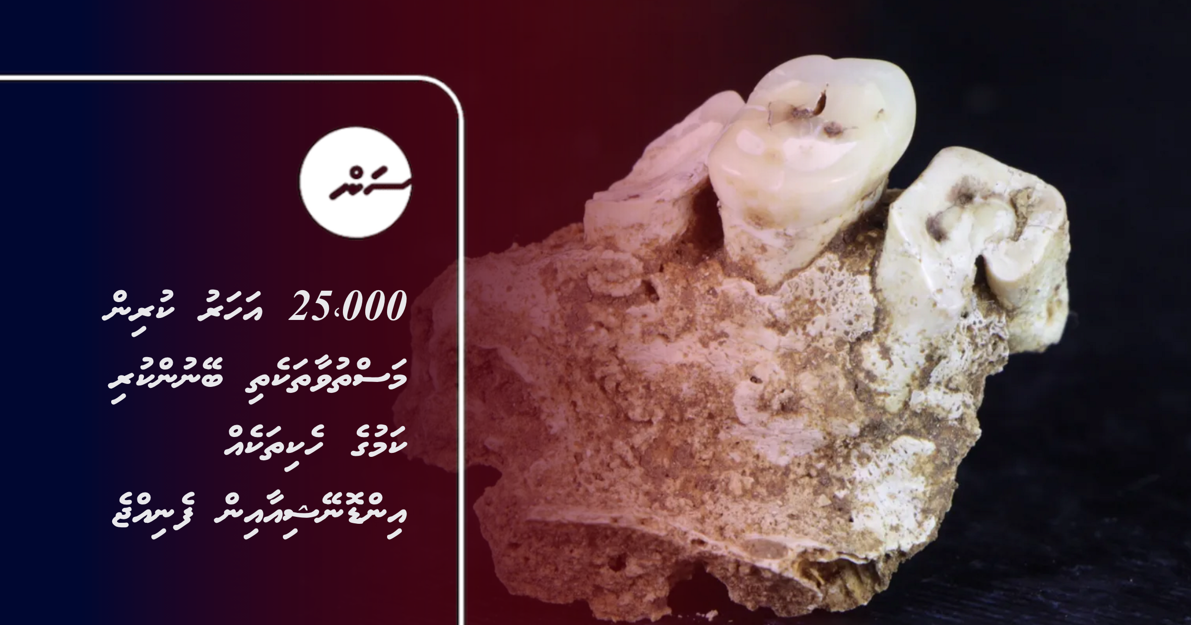 25,000 aharu kurin masthuvaathakethi beynun kuri kamuge hekithakeh Indonesia in fenijje