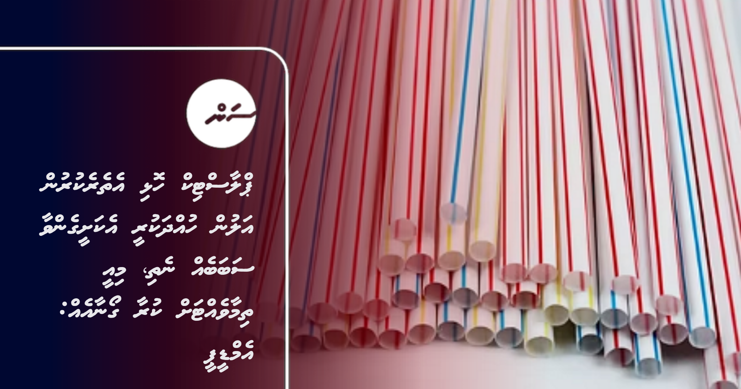 Plastic holhi etherekurun alun huhdha kuree ekasheegenvaa sababeh nethi, mi ee thimaavehtah kuraa goanaa eh: MDP