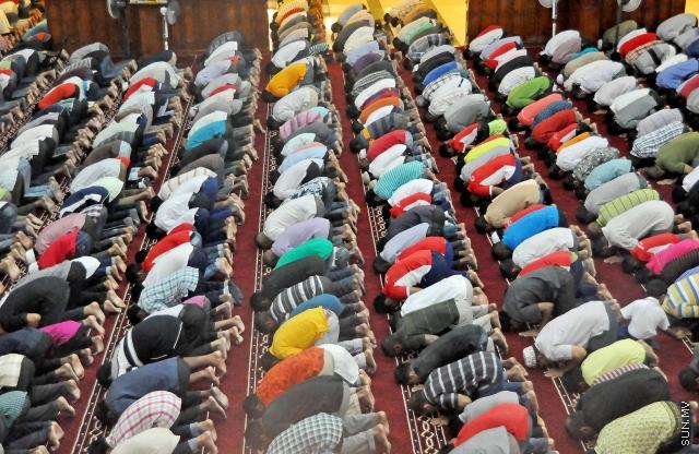 ޖަނަވަރީ 23، 20145: މި އަހަރުގެ، ރާއްޖެ އިސްލާމް ވި ދުވަހުގެ ފަތިސް ނަމާދު؛ މި ނަމާދުގައި، އެޑިއުކޭޝަން މިނިސްޓްރީގެ އިންތިޒާމުގެ ދަށުން، ގިނަ އަދަދެއްގެ ސްކޫލް ކުދިން ވަނީ ބައިވެރިވެފައި -- ސަންފޮޓޯ/ އަލީ ނަސީރު