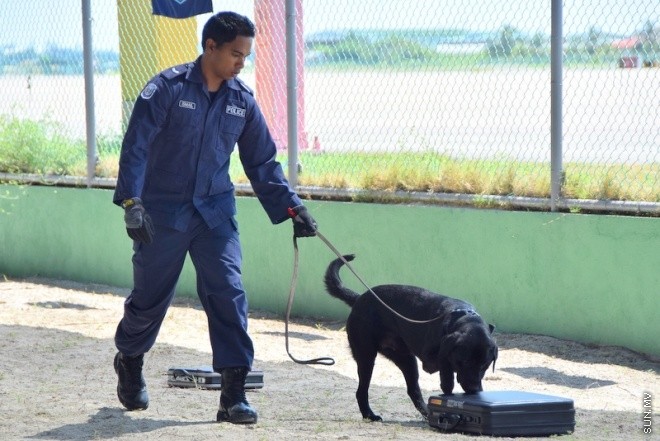 އޭޕްރިލް 23، 2015: ފާރަ ގެމަ ޓްރޭނިންގް ޕްރޮގްރާމުގެ ސެޓްފިކެޓް ހަވާލު ކުރުމުގެ ތެރެއިން --- ސަން ފޮޓޯ/ ޔޫސުފް ސޮފްވާން