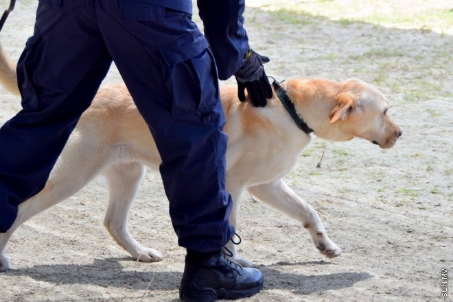 އޭޕްރިލް 23، 2015: ފާރަ ގެމަ ޓްރޭނިންގް ޕްރޮގްރާމުގެ ސެޓްފިކެޓް ހަވާލު ކުރުމުގެ ތެރެއިން --- ސަން ފޮޓޯ/ ޔޫސުފް ސޮފްވާން