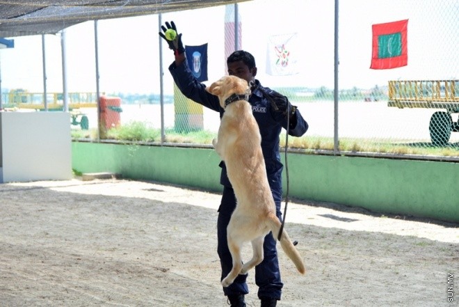 އޭޕްރިލް 23، 2015: ފާރަ ގެމަ ޓްރޭނިންގް ޕްރޮގްރާމުގެ ސެޓްފިކެޓް ހަވާލު ކުރުމުގެ ތެރެއިން --- ސަން ފޮޓޯ/ ޔޫސުފް ސޮފްވާން