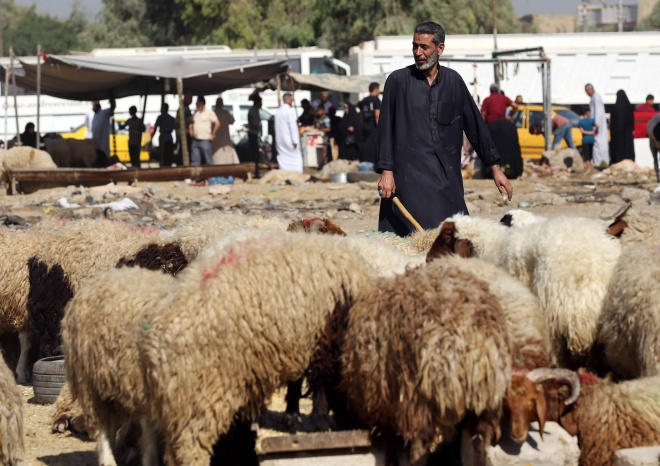 ސެޕްޓެމްބަރ 24، 2015: 1436 ވަނަ އަހަރުގެ ބަރަކާތްތެރި އަޟްހާ އީދު ދުވަހު އިރާގު -- ފޮޓޯ/ އޭޕީ