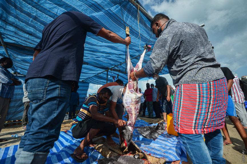 ޖުލައި 20، 2021: 1442ވަނަ އަހަރުގެ ބޮޑު އީދުގެ އުލްހިޔާ ކަތިލުން -- ސަން ފޮޓޯ/ ފަޔާޒު މޫސާ