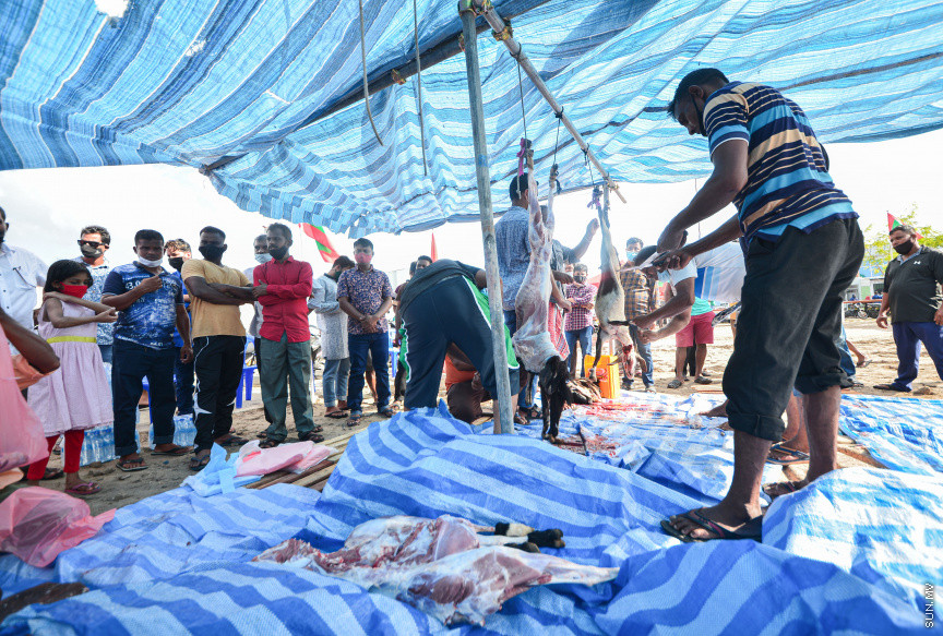 ޖުލައި 20، 2021: 1442ވަނަ އަހަރުގެ ބޮޑު އީދުގެ އުލްހިޔާ ކަތިލުން -- ސަން ފޮޓޯ/ ފަޔާޒު މޫސާ