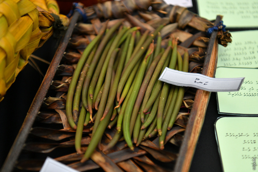 އެމްއެންޔޫ "ފަހި ކުތުބުޚާނާ" ހަރަކާތުގެ ތެރެއިން --- ސަން ފޮޓޯ/ ނާއިލް ހުސައިން