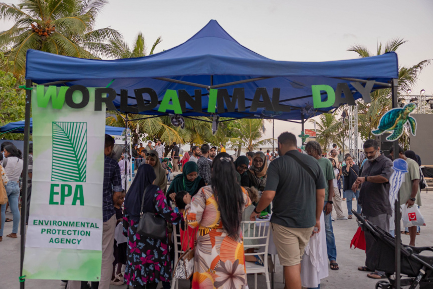 ބައިނަލްއަގުވާމީ ޖަނަވާރުގެ ދުވަސް ފާހަގަކުރުމަށް ބޭއްވި ފެއާގެ ތެރެއިން: އެ ފެއާގައި ތަފާތު ޖަމިއްޔާތަކުން ބައިވެރިވި -- ސަން ފޮޓޯ/ އަމަން ލަތީފް